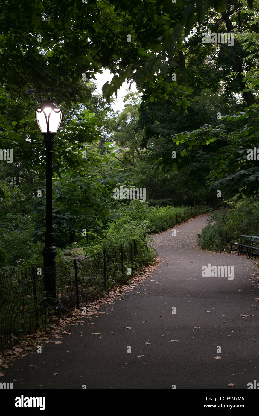 Una pasarela vacía bordeadas de árboles, de arbustos verdes y una valla en Central Park, New York. Foto de stock