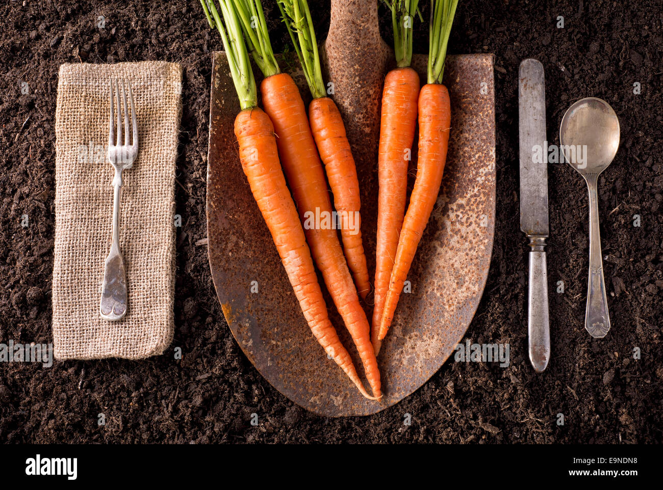 Orgánica de la granja a la mesa concepto comer sano en el suelo de fondo. Foto de stock