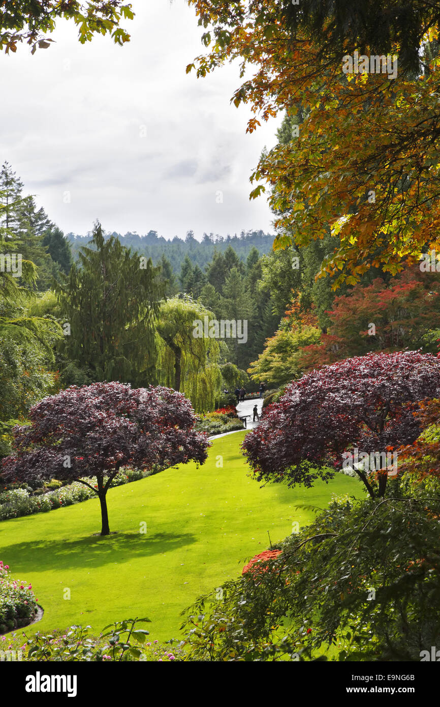 Butchard-jardín en la isla de Vancouver en Canadá Foto de stock