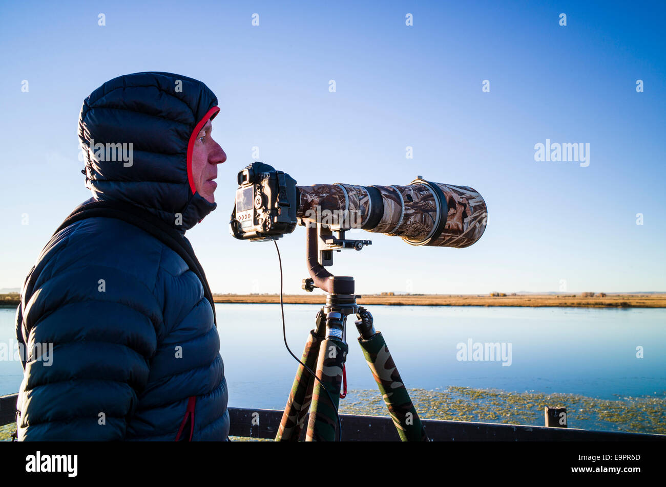 Fotógrafo profesional con teleobjetivo para larga distancia la captura de  especies silvestres, Monte Vista National Wildlife Refuge, en el centro de  Colorado Fotografía de stock - Alamy