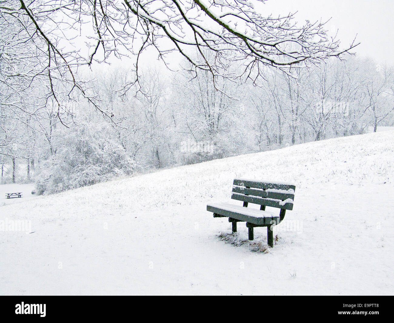 Vacía en un banco del parque de nieve fresca en Pennsbury Township Park. Foto de stock