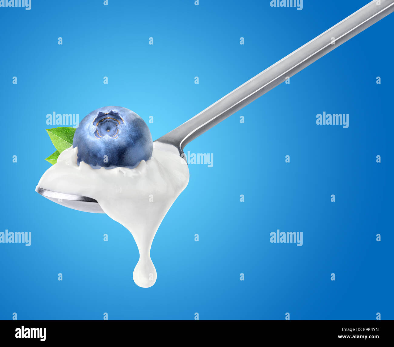 Cuchara de yogur de arándanos sobre fondo azul. Foto de stock