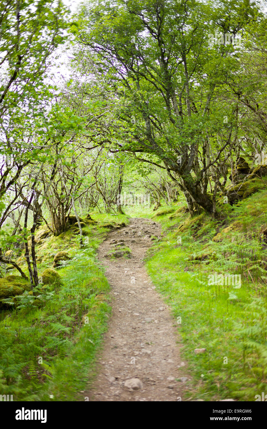 Ruta vacía parte de un país camine Nature Trail en Inverkirkaig en las Highlands de Escocia occidental Foto de stock