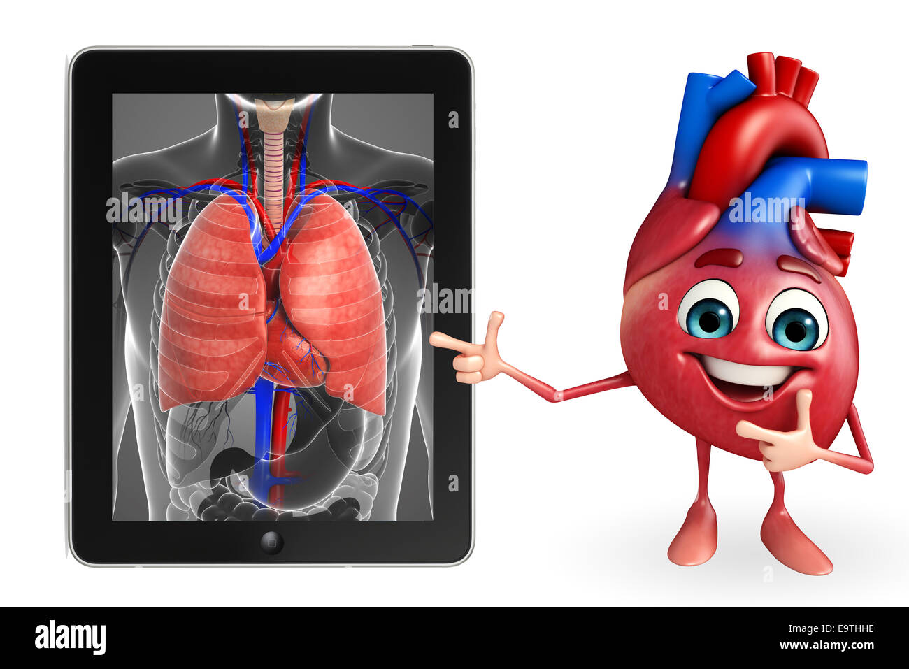 Personaje de dibujos animados de corazón con los pulmones Anatomía Fotografía de stock - Alamy Personaje de dibujos animados de corazón con los pulmones Anatomía Fotografía de stock - Alamy