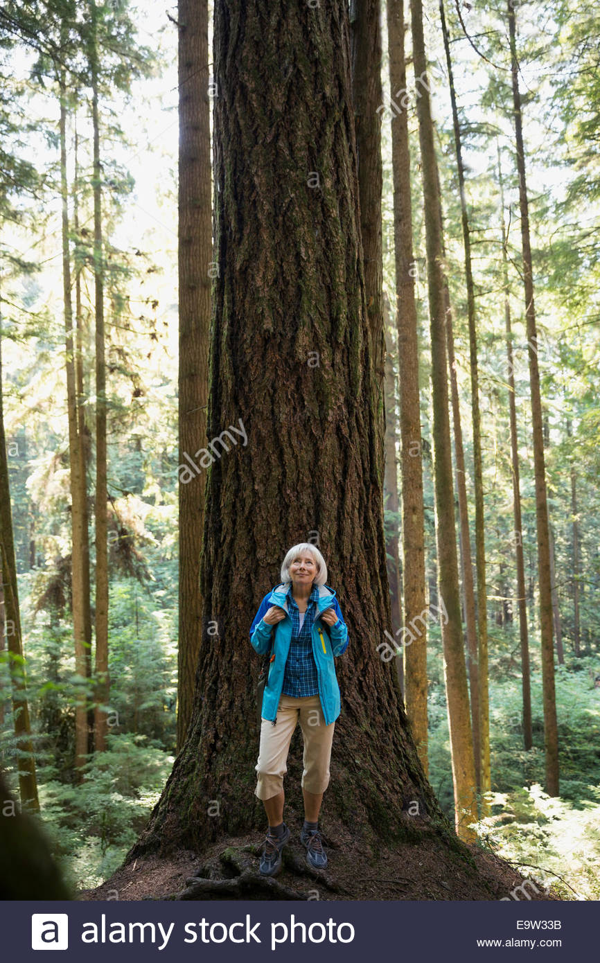 Mujer mirando hacia arriba altos árboles en bosques Foto de stock