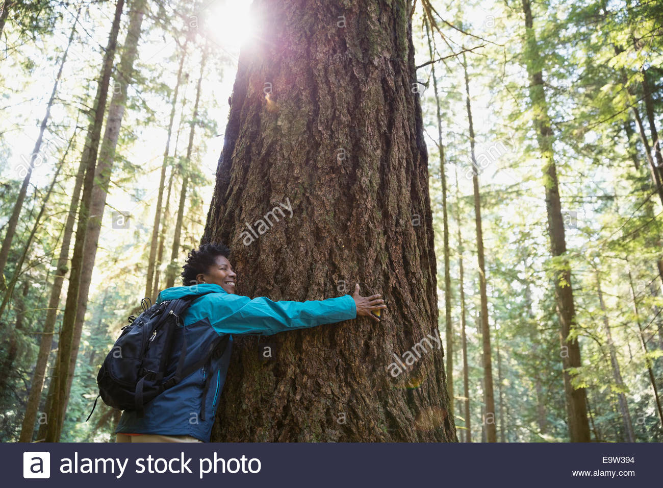 Mujer abrazando árboles en bosques soleados Foto de stock