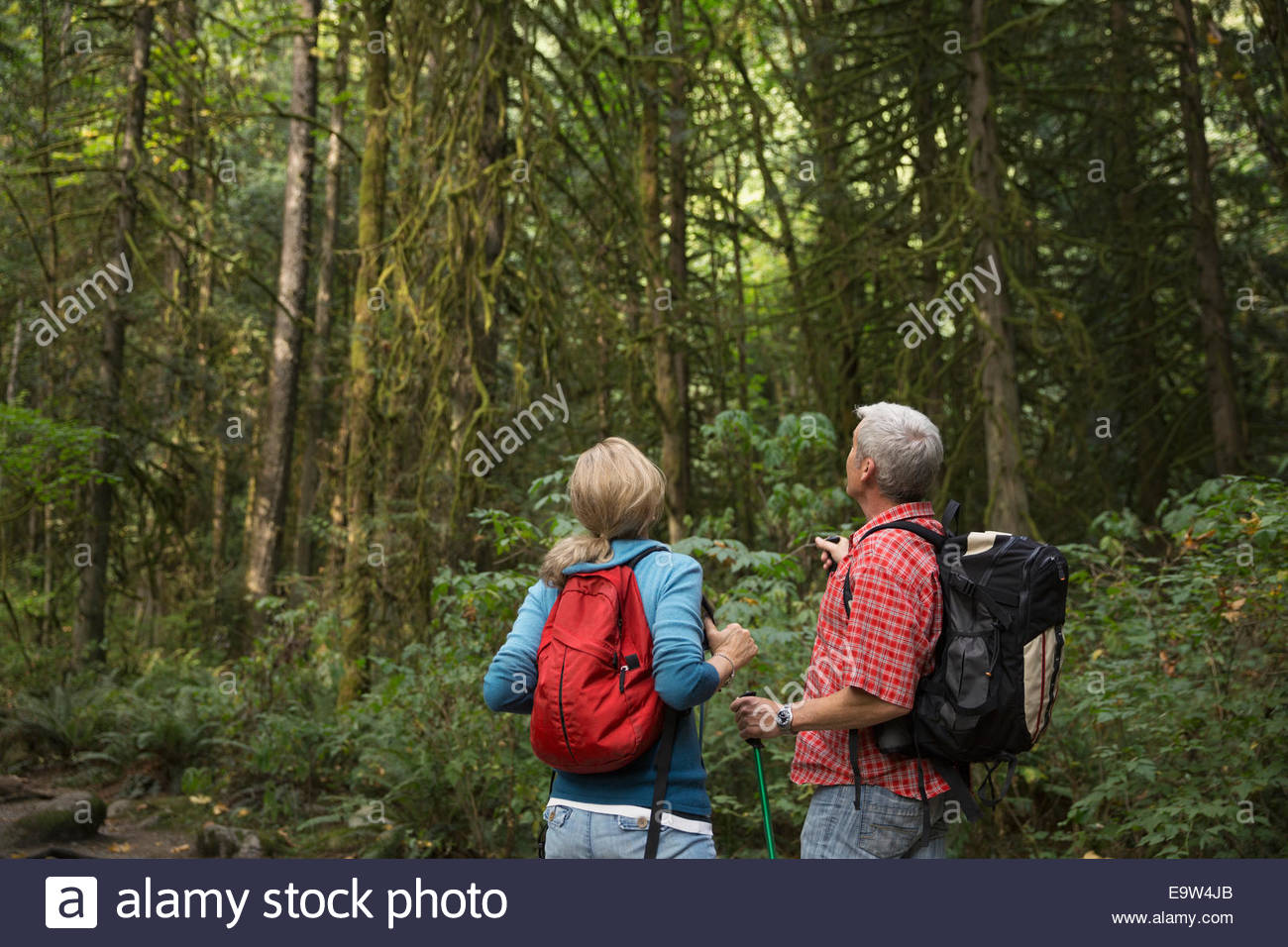 Senderismo Pareja mirando hacia los árboles en bosques Foto de stock