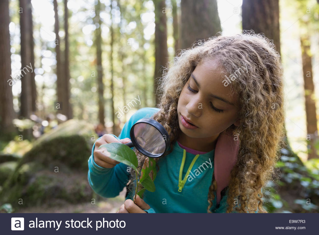 Chica con lupa examinando hoja de planta Foto de stock