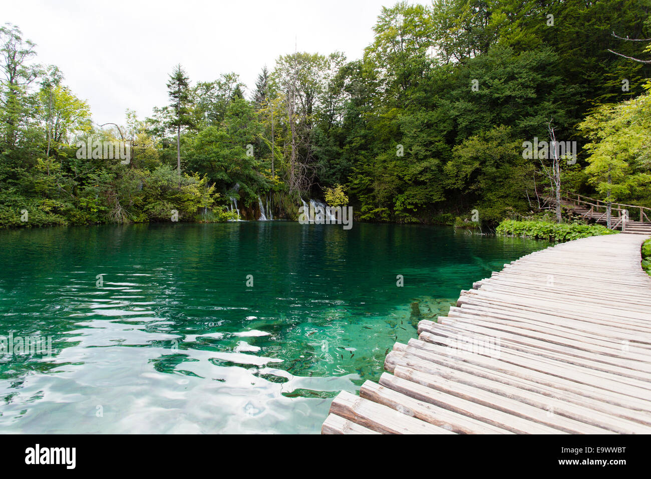 Pasarelas de madera a través de un lago en el Parque Nacional de Plitvice, Croacia Foto de stock