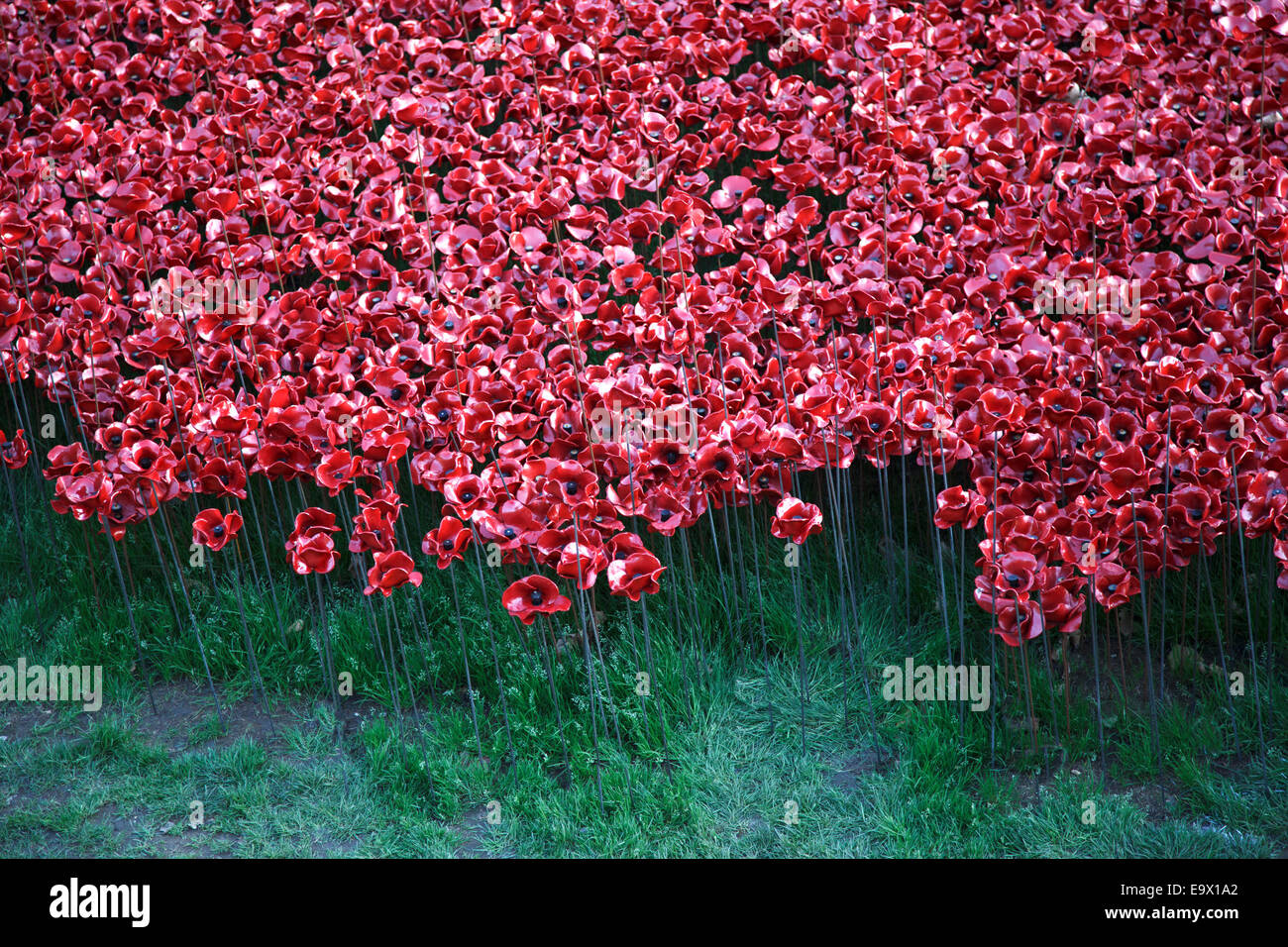 Sangre arrasaron tierras y mares de rojo Foto de stock