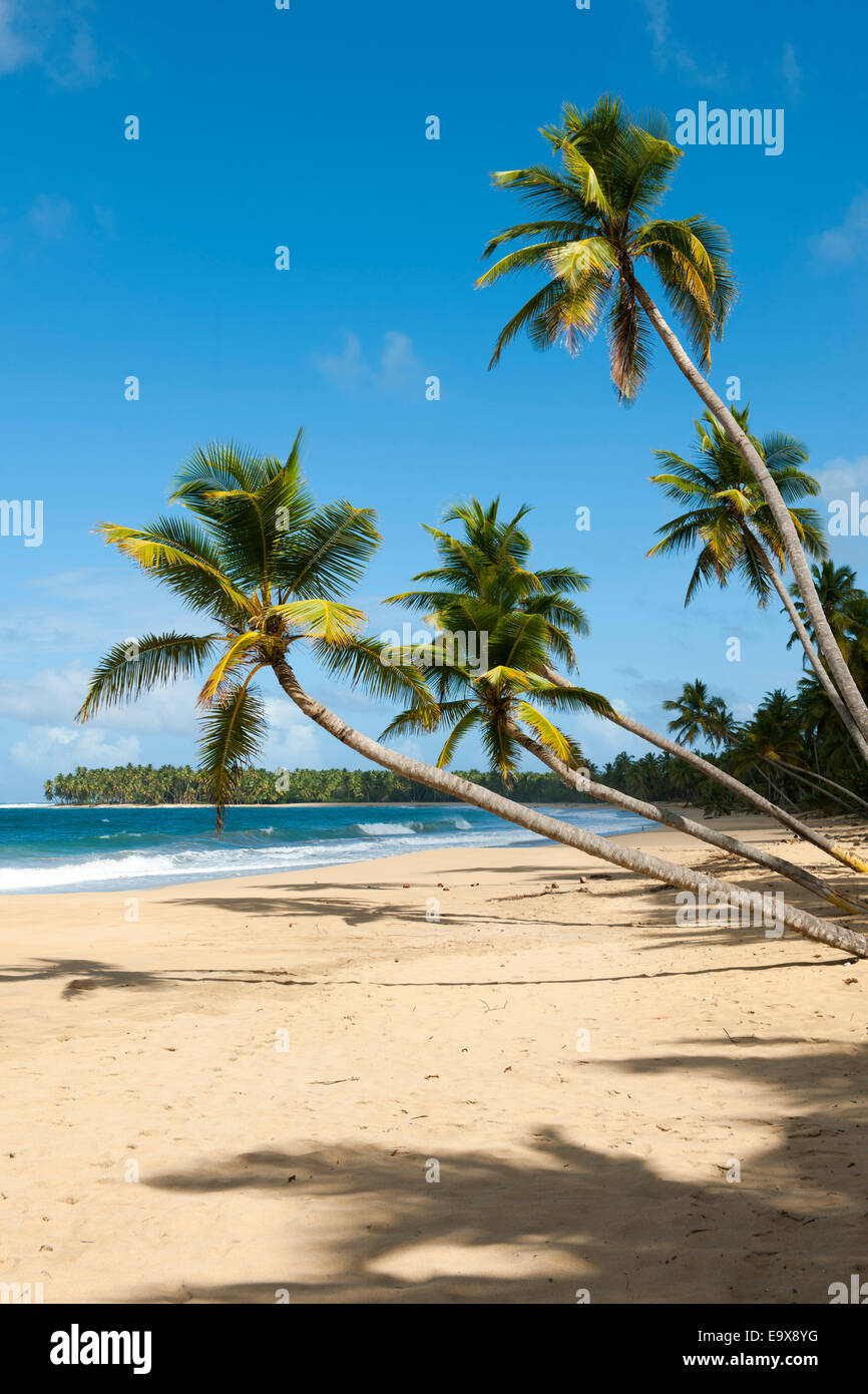 Dominikanische republik, osten, cedro, Strand playa limon Foto de stock
