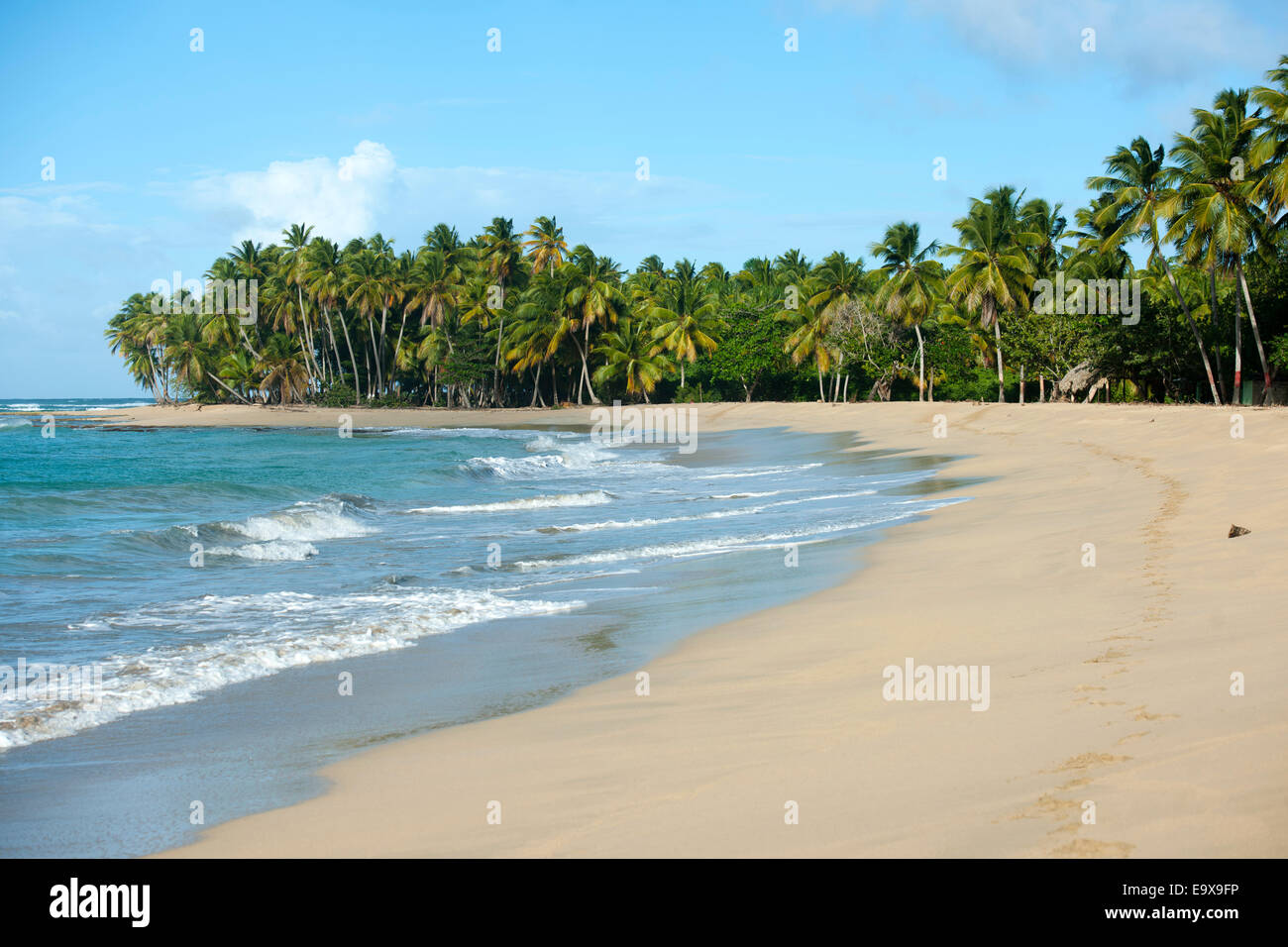 Dominikanische republik, osten, cedro, Strand playa limon Foto de stock