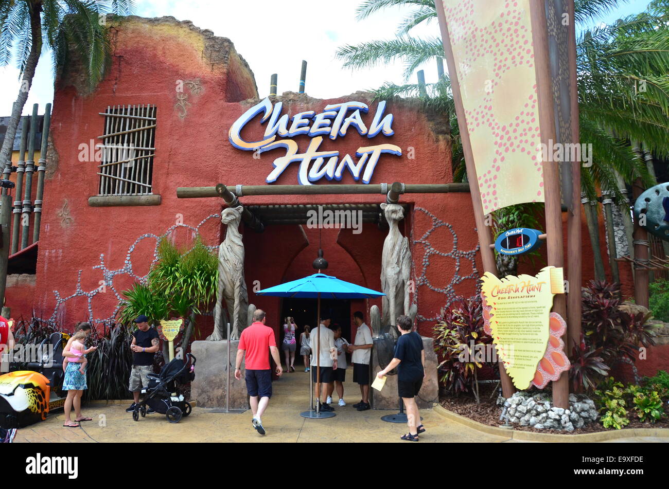 La Cheetah Hunt ride en Busch Gardens, en Tampa, Florida, EE.UU. Foto de stock