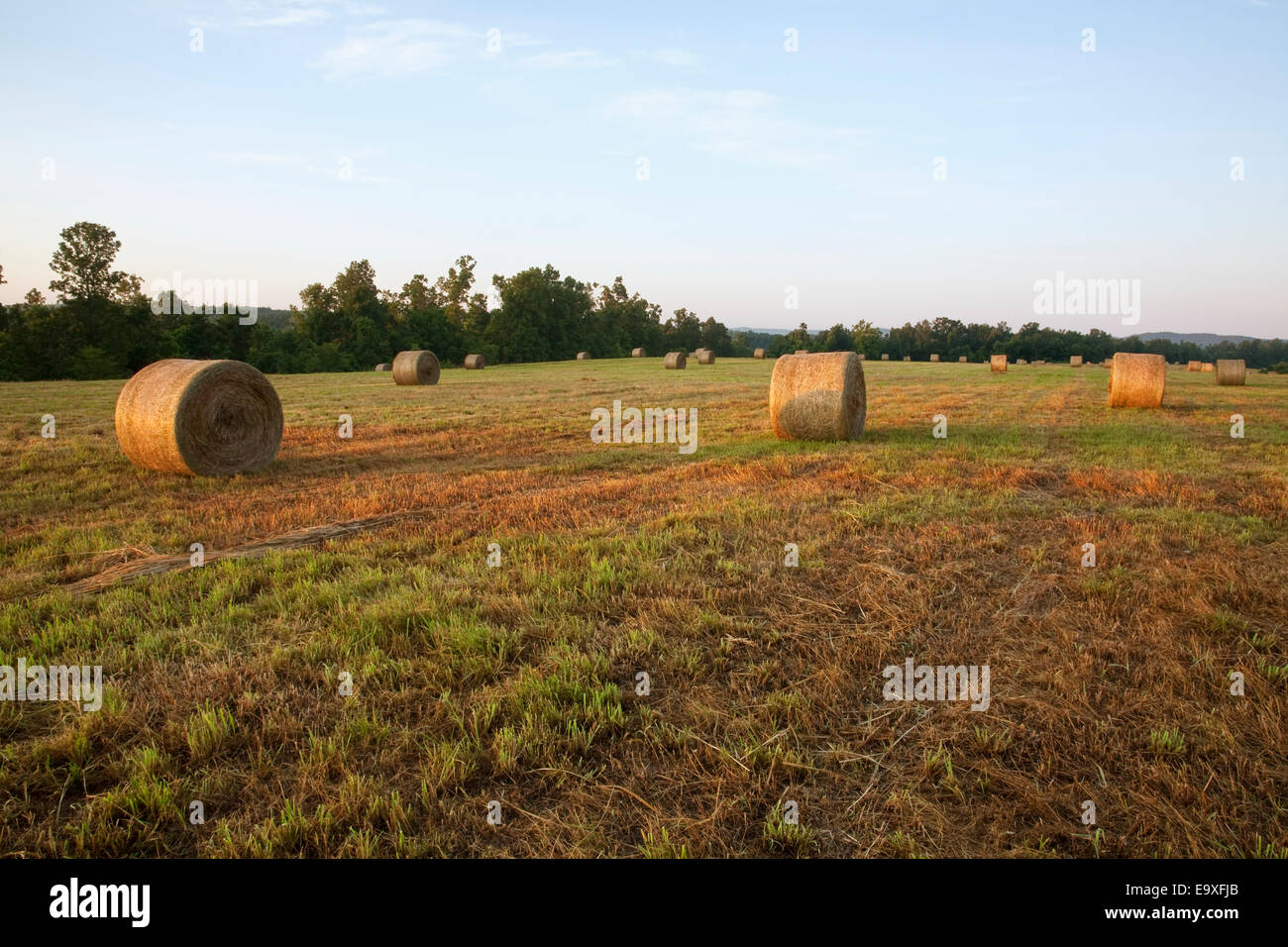Bill,Ag,Agricultura,,País,rural agrícola Foto de stock