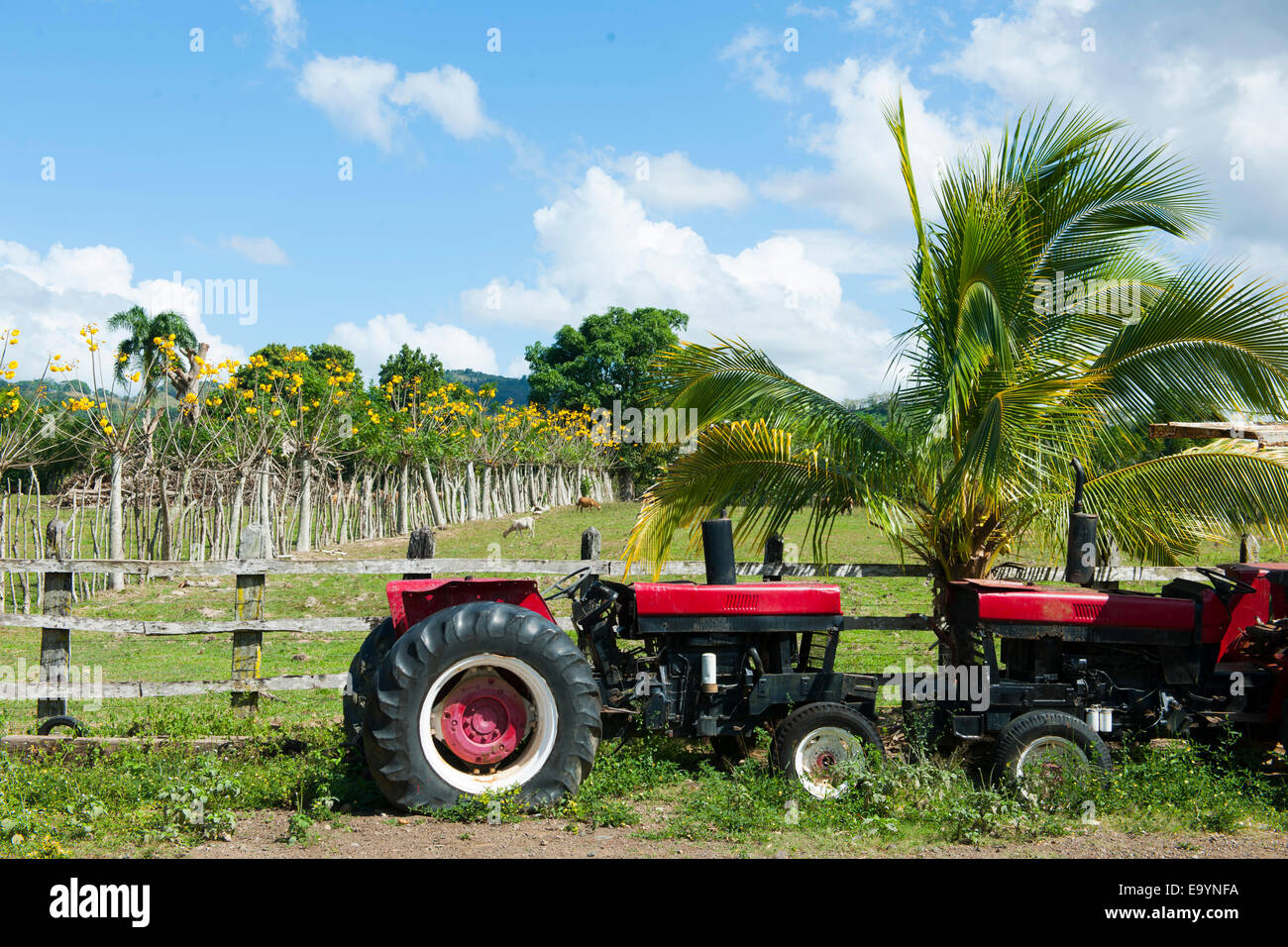 Dominikanische Republik, Osten, Traktor an der Rancho Capote westlich von Hato Major Foto de stock