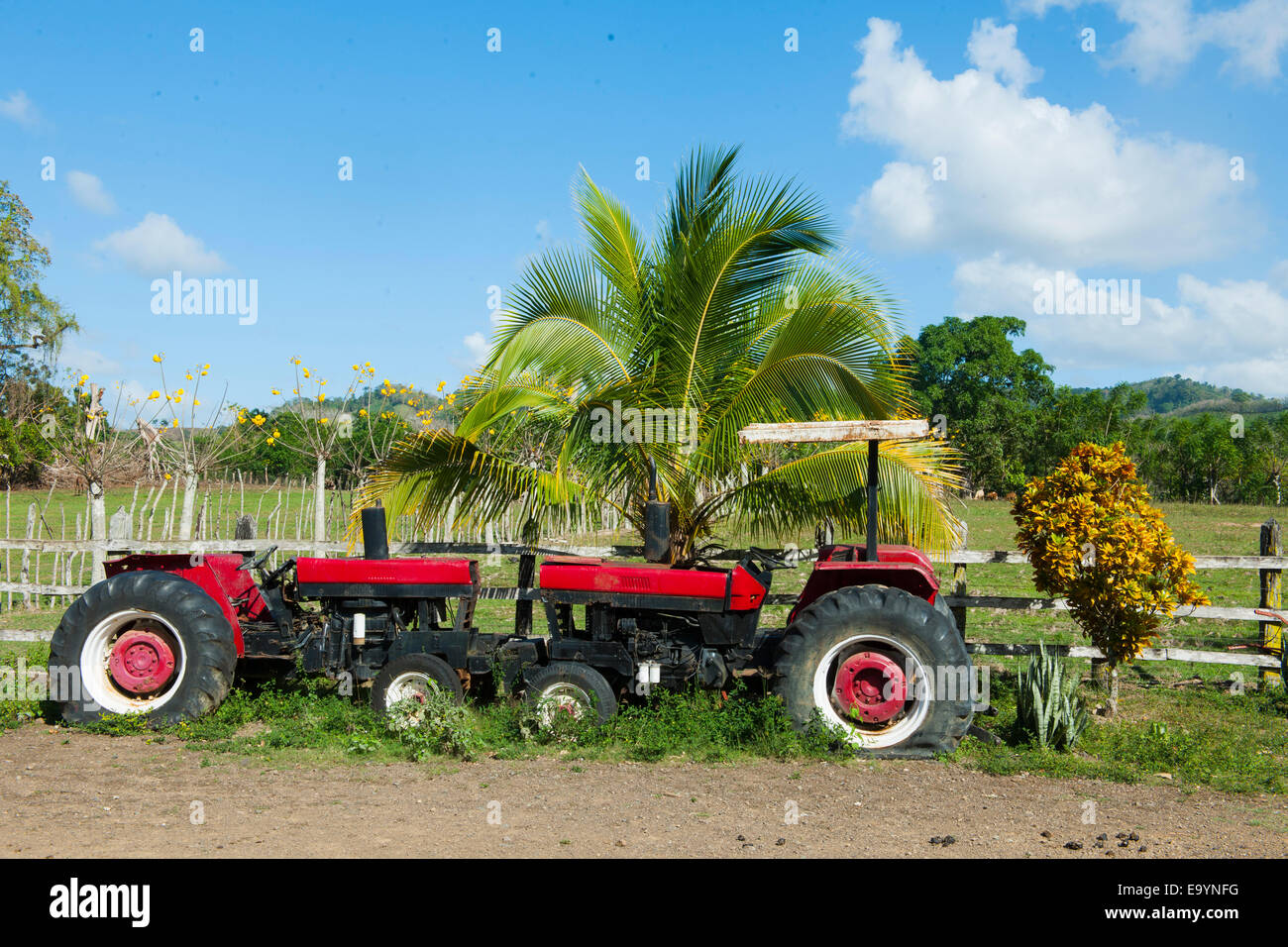 Dominikanische republik, osten, traktor an der rancho capote westlich von hato mayor Foto de stock