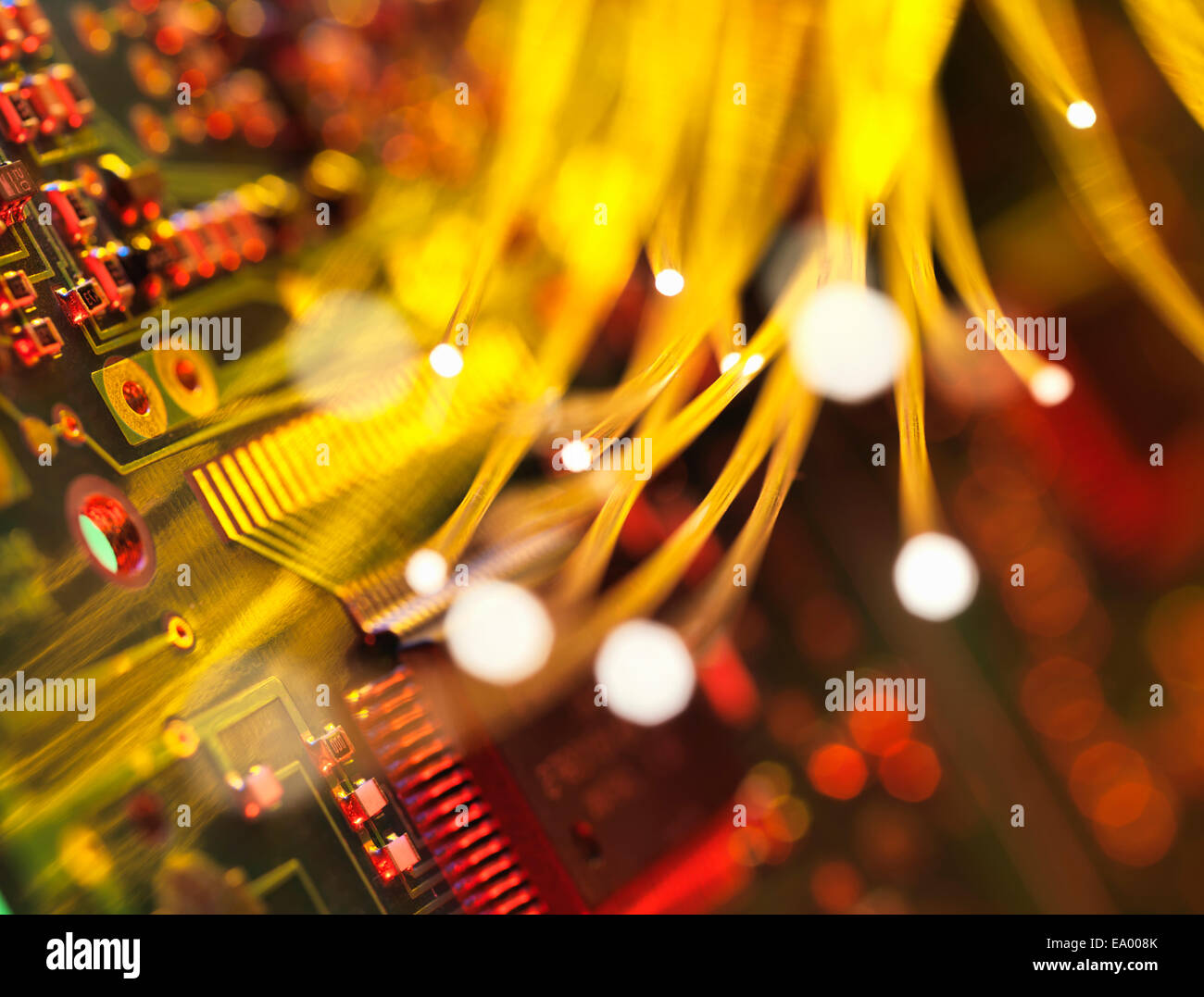 La fibra óptica transporta datos pasando una placa de circuito Foto de stock