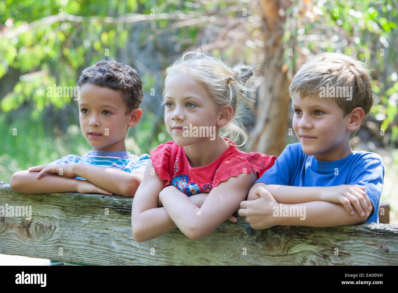 Tres hijos inclinarse sobre fence Mirar lejos Foto de stock