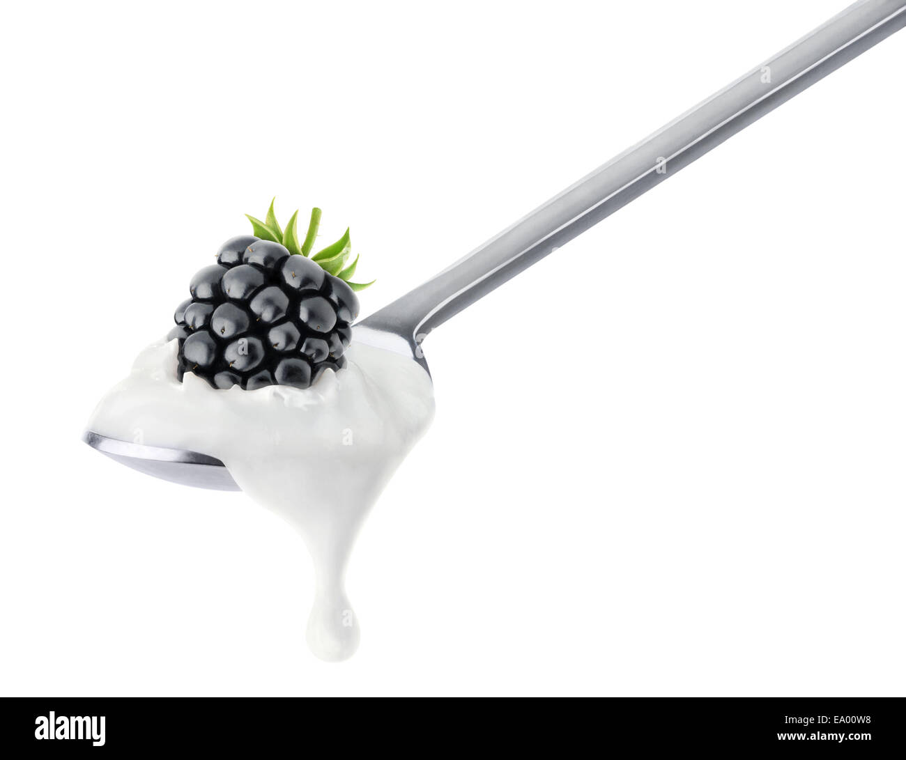 Cuchara de yogur blackberry aislado en blanco Foto de stock
