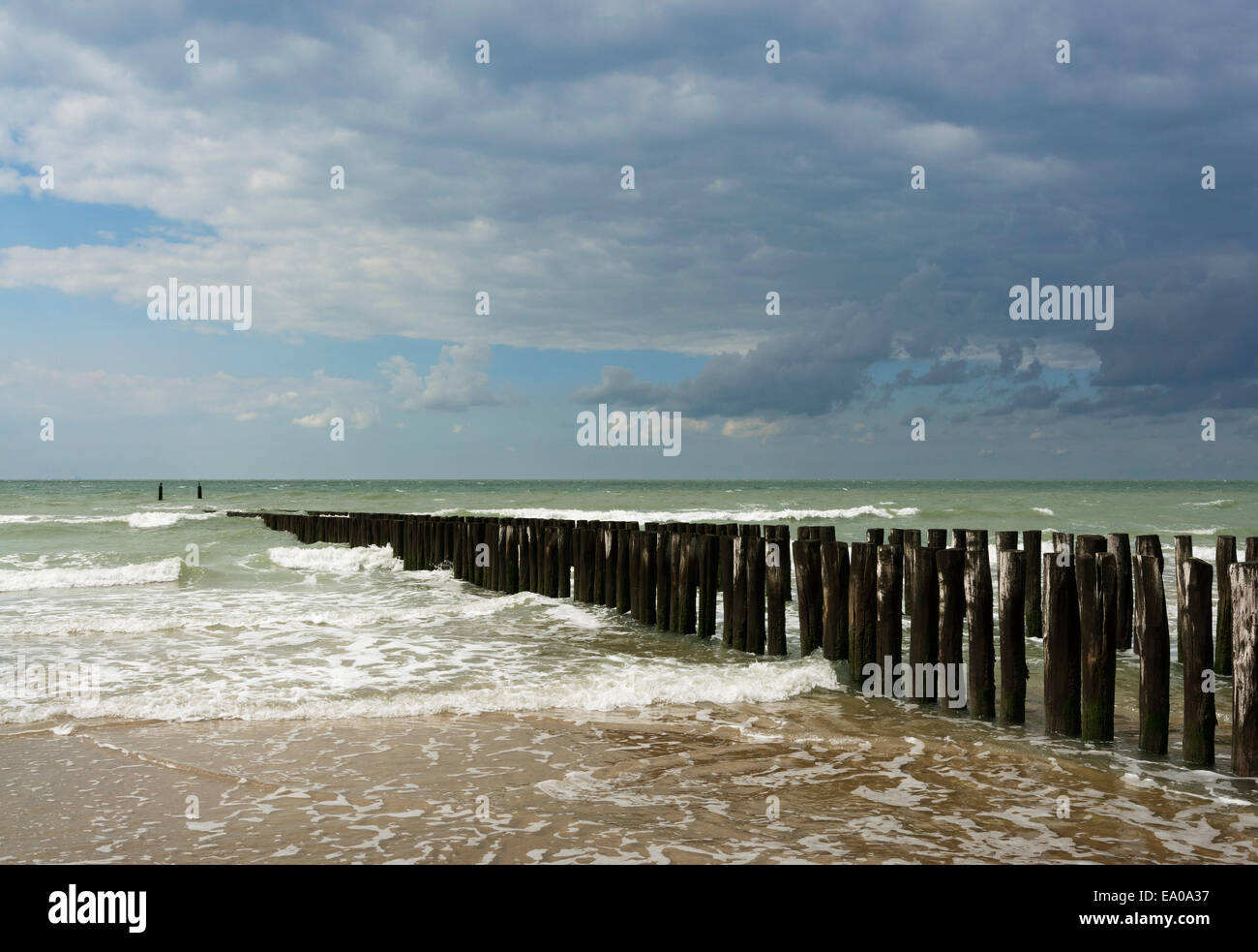 Espigones en la costa holandesa Foto de stock