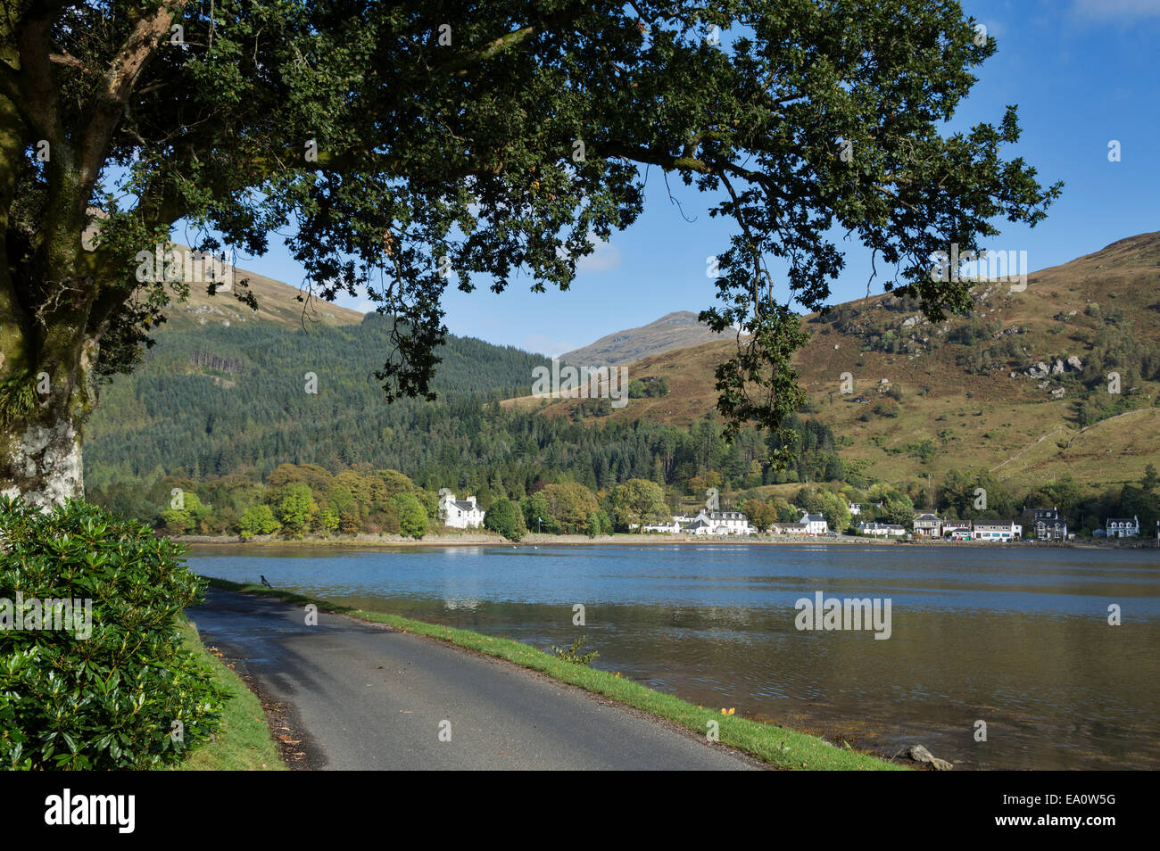 El Loch Goil Lochgoilhead;;; soleado; Argyll; Bute; Escocia; UK Foto de stock