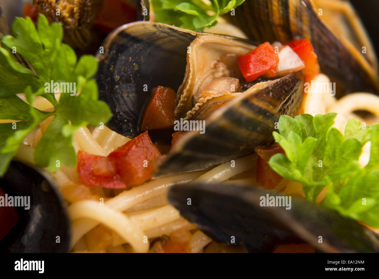 Las almejas en salsa de tomate Foto de stock