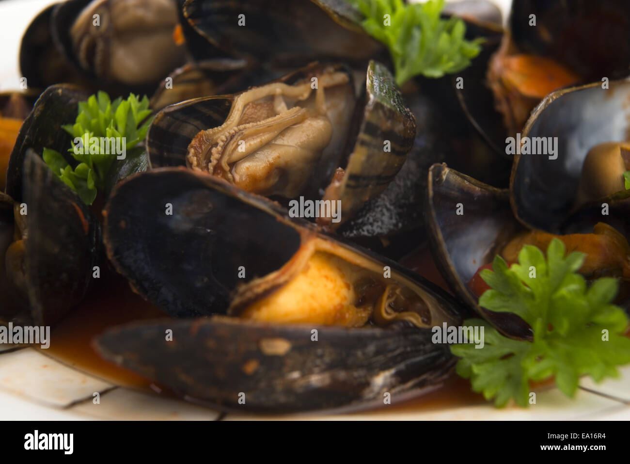 Las almejas en salsa de tomate Foto de stock