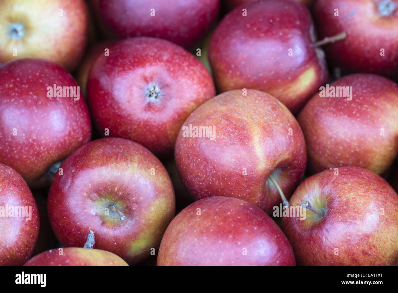 Verkauf de manzana fotografías e imágenes de alta resolución - Alamy