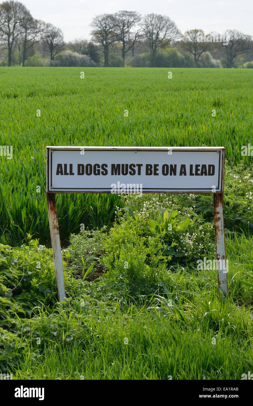 Signo para perros para mantenerse sobre el plomo Foto de stock