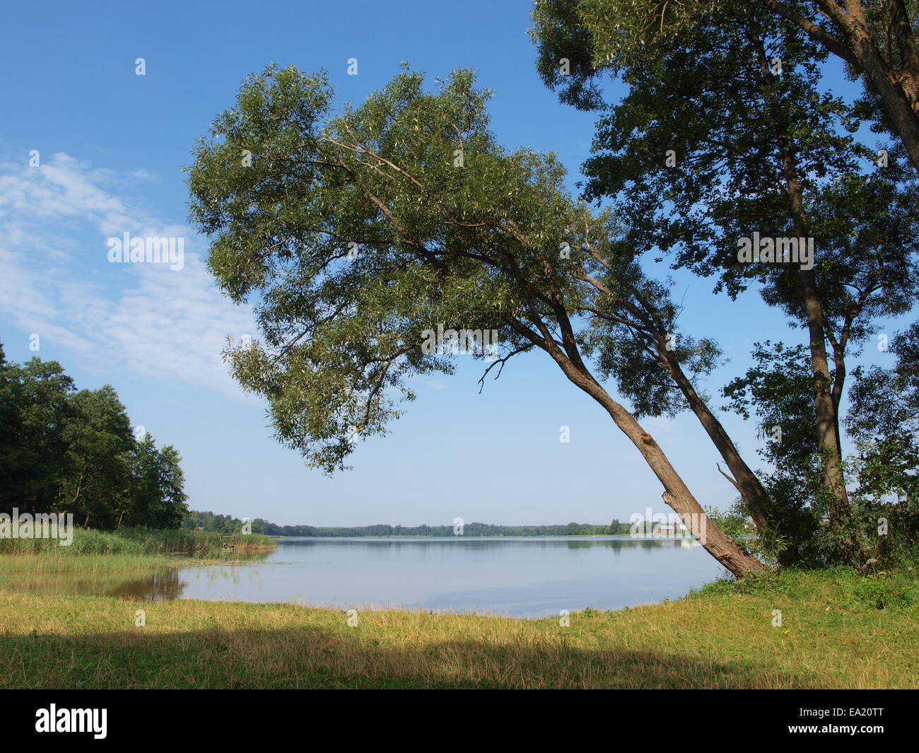 El lago Jezioro Serwy cerca Giby en Masuria Foto de stock