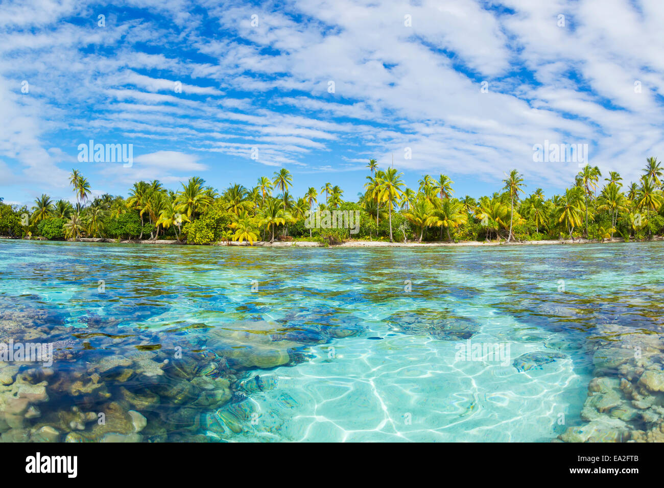 Arrecife tropical en los jardines de coral; Tahaa, Polinesia Francesa Foto de stock