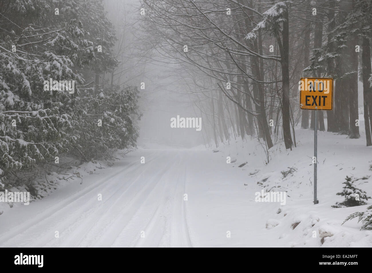 Carretera de invierno y los árboles cubiertos de nieve con Amarillo Sin señal de salida Foto de stock