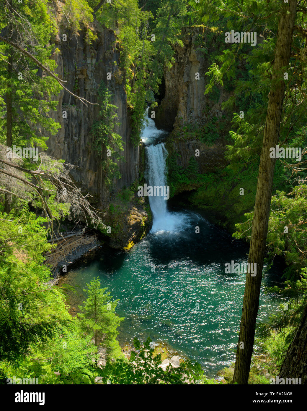 Toketee Falls, en el norte del río Umpqua en el Condado de Douglas, Oregón Foto de stock