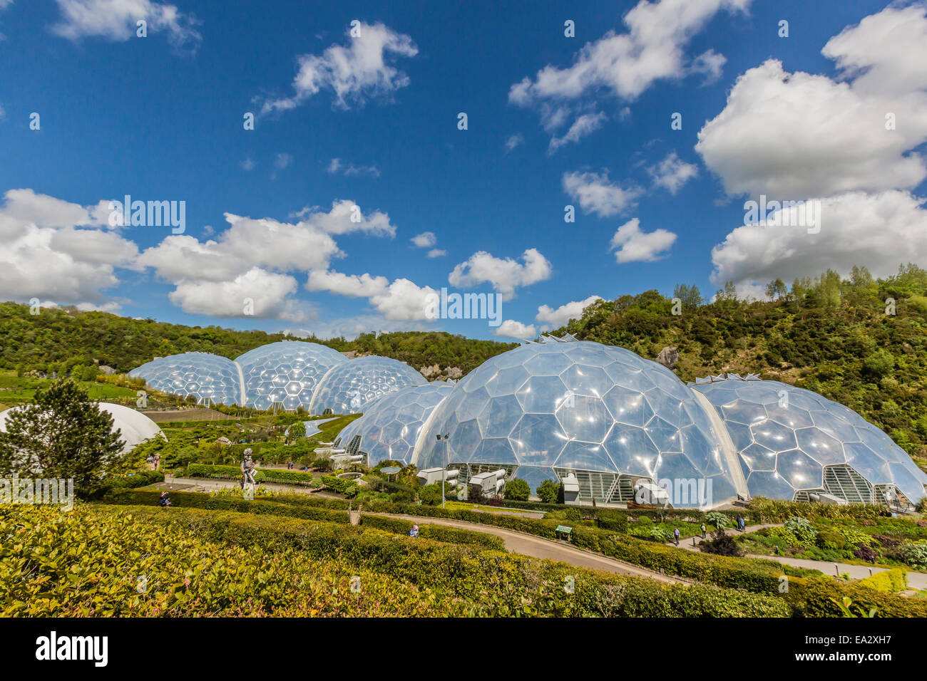El proyecto Eden, compuesta de domos de invernadero simulando los biomas del mundo, Saint Austell, Cornwall, Inglaterra, Reino Unido. Foto de stock
