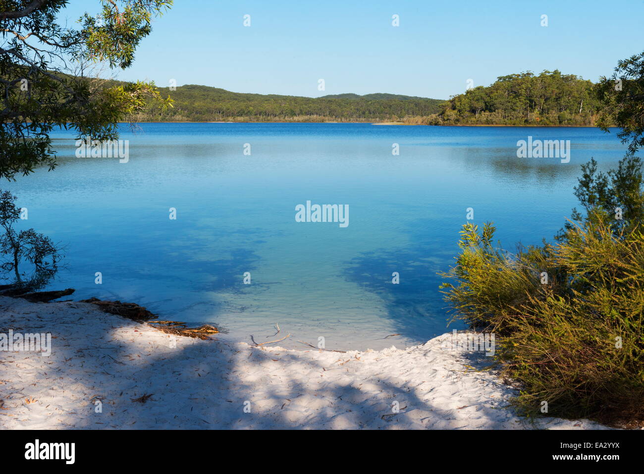 Lago McKenzie, La Isla Fraser, Sitio del Patrimonio Mundial de la UNESCO, Queensland, Australia, el Pacífico Foto de stock