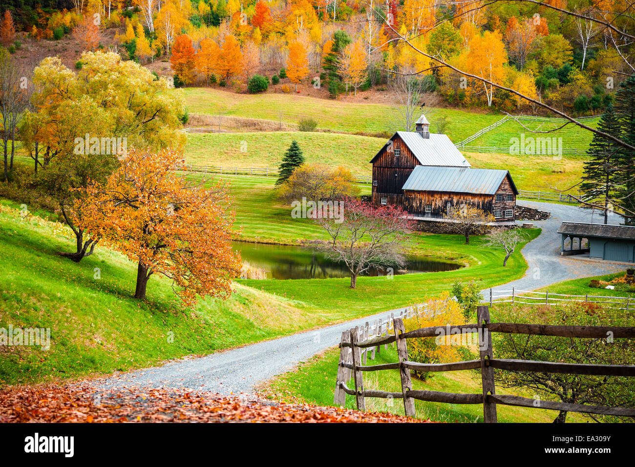 El follaje de otoño, el paisaje de Nueva Inglaterra en Woodstock, Vermont, granja en paisaje otoñal. Antiguo granero de madera. Foto de stock