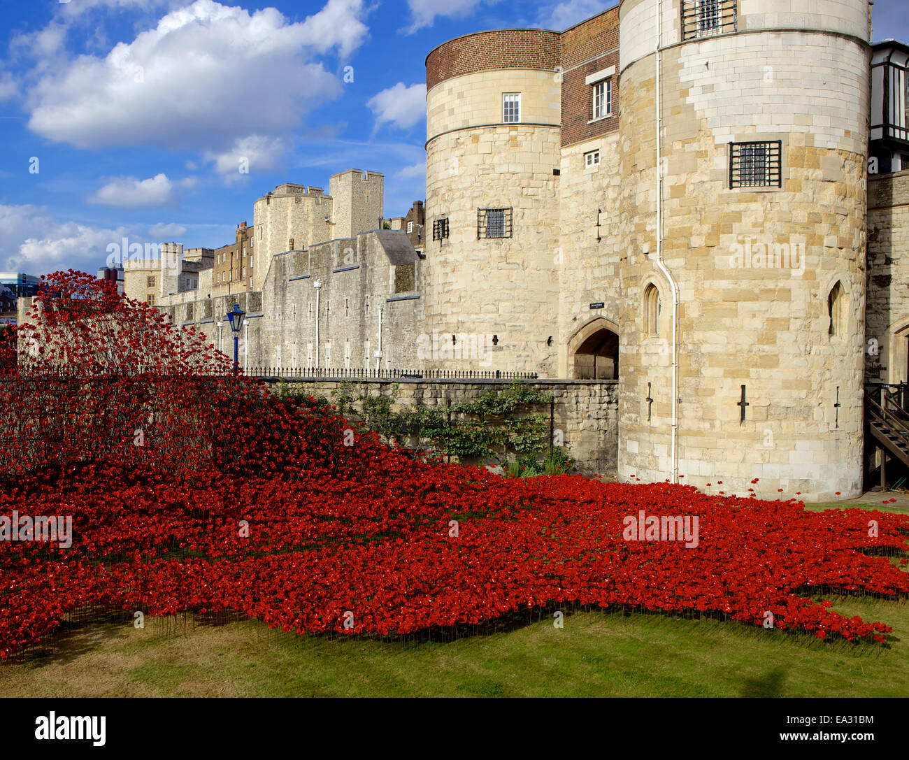 Arrasaron tierras y mares de sangre roja de la instalación en la Torre de Londres, la Torre de Londres, la UNESCO Sitio, Londres, Inglaterra, Reino Unido. Foto de stock