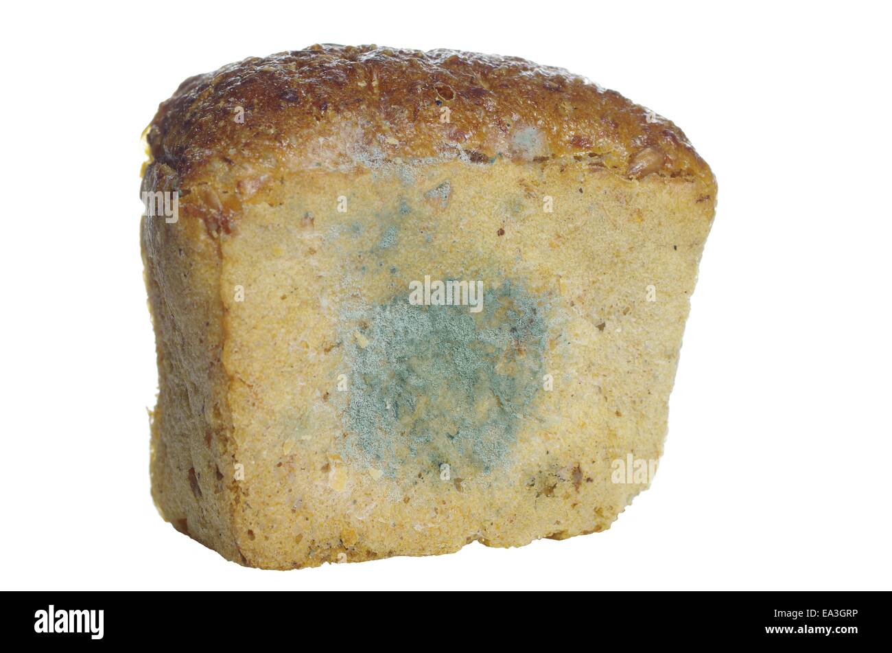 Fragmento de no esté fresco pan mohoso Foto de stock