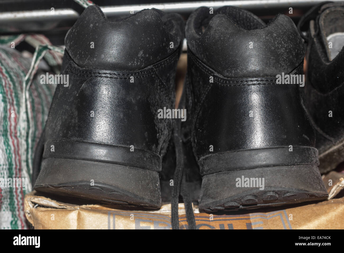Moho en los zapatos fotografías e imágenes de alta resolución - Alamy