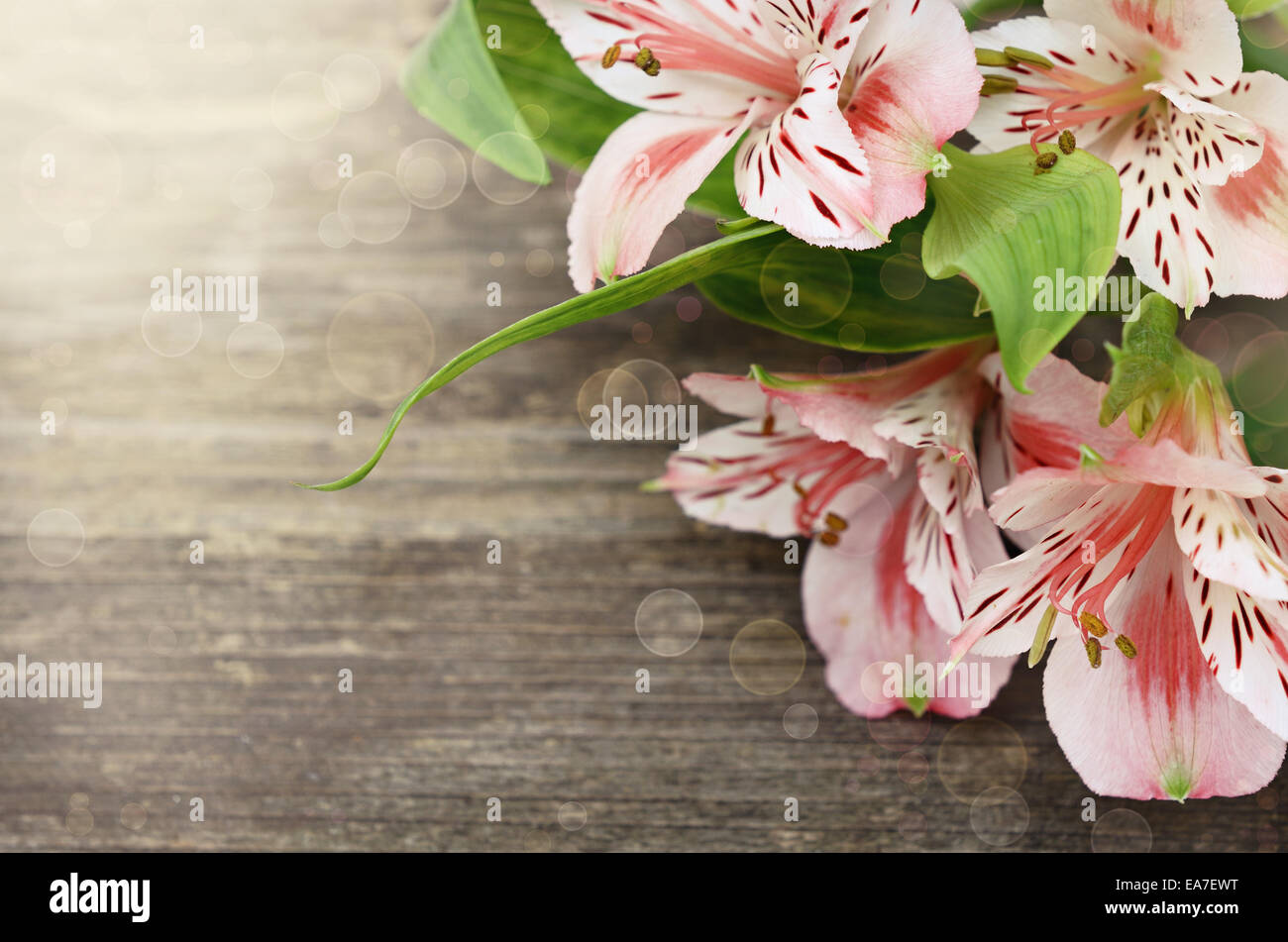 Flores de color rosa sobre fondo de madera gris antiguas Foto de stock