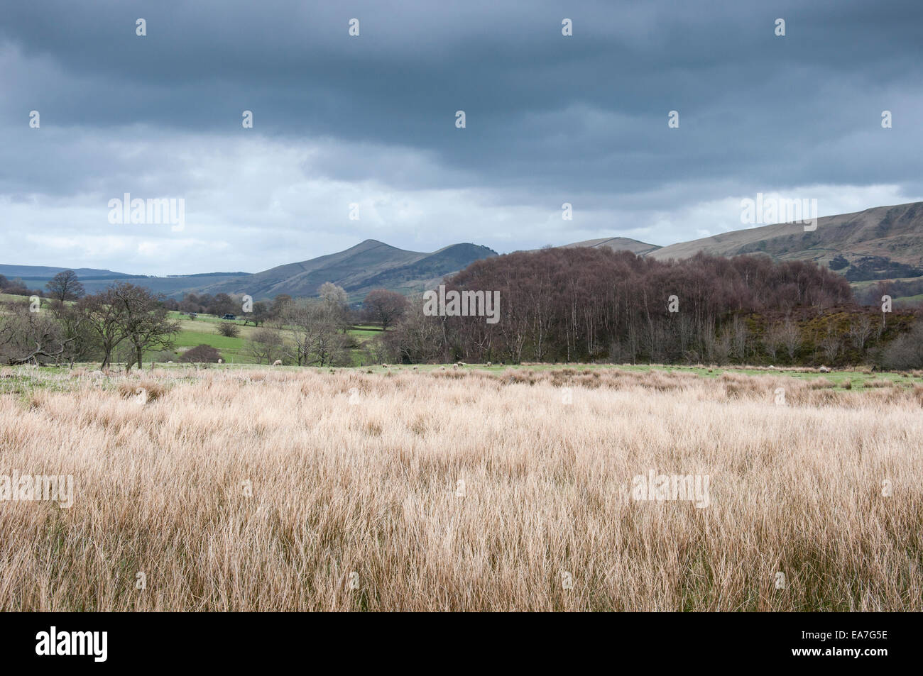 Ver perder a colina, cerca del distrito de Peak Edale, Derbyshire. Mirando por encima del campo de finales del invierno los pastos y juncos. Foto de stock