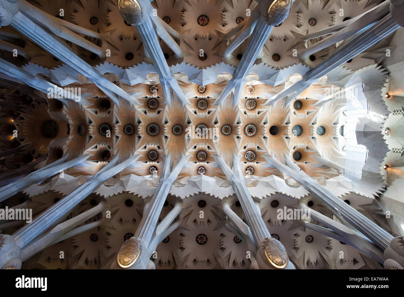 Las columnas que se ramifican como árboles y bóveda de la Sagrada