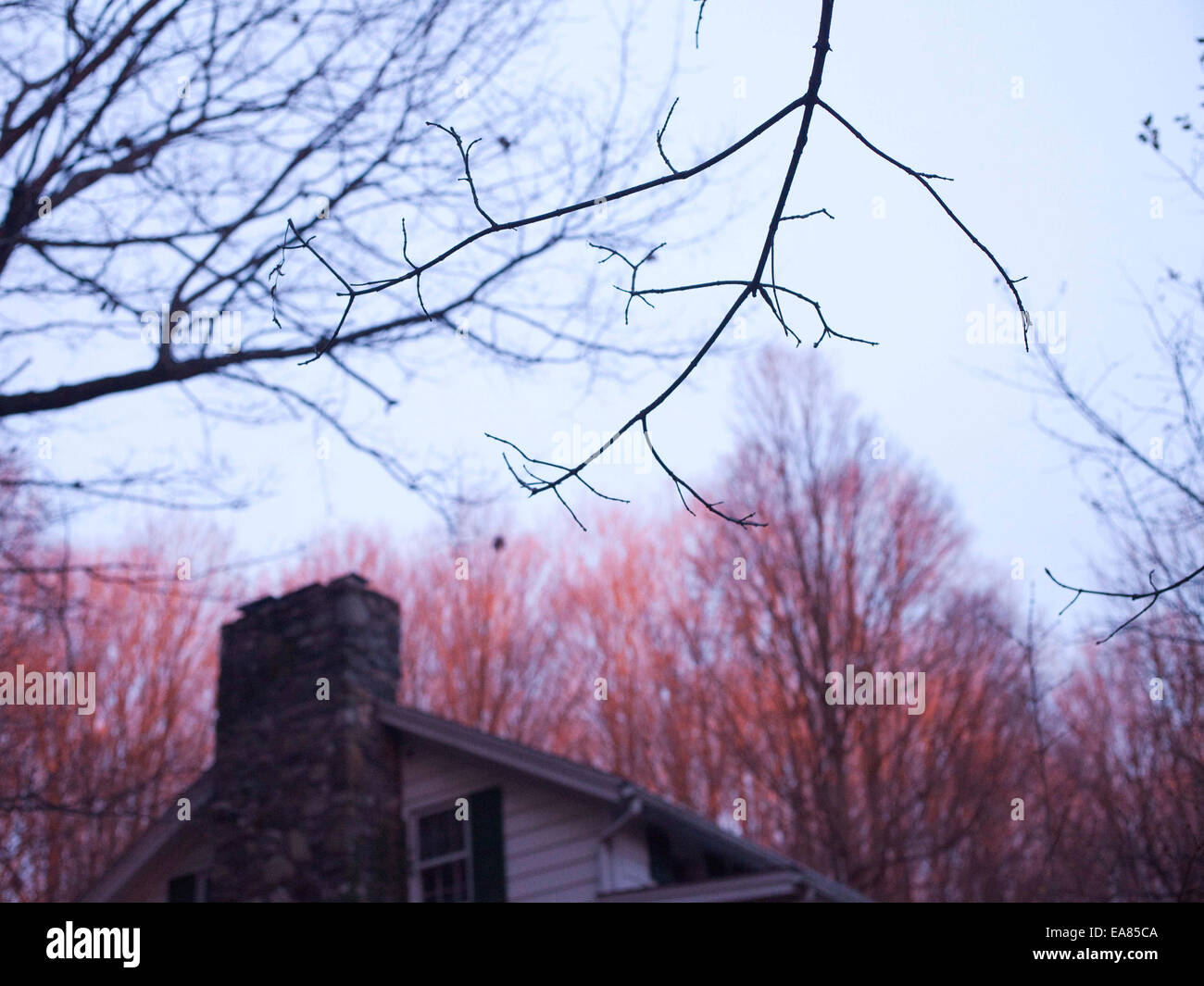 Detalle de la rama y la parte superior de la casa en invierno atardecer Foto de stock