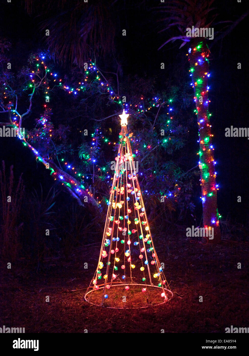 Iluminado Árbol de Navidad artificiales y luces en la noche. Foto de stock