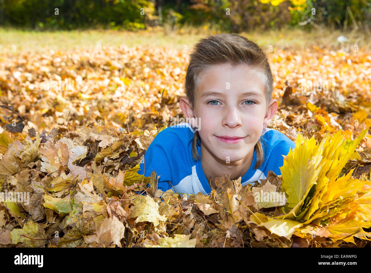 Otoño. chico adolescente con hojas en otoño park Foto de stock