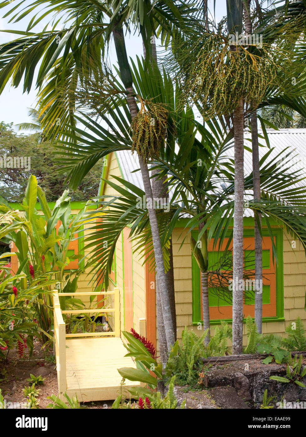Pequeña casa de madera de colores brillantes y palmeras en una isla tropical. Foto de stock