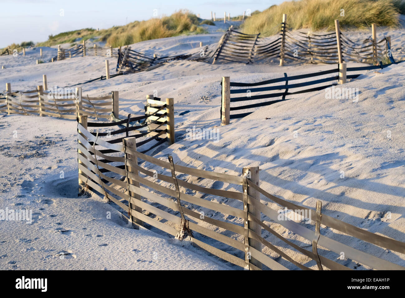Inglaterra, Sussex, West Wittering. Sand vallas diseñados para estabilizar las dunas forman parte del sistema de defensa costera. Foto de stock
