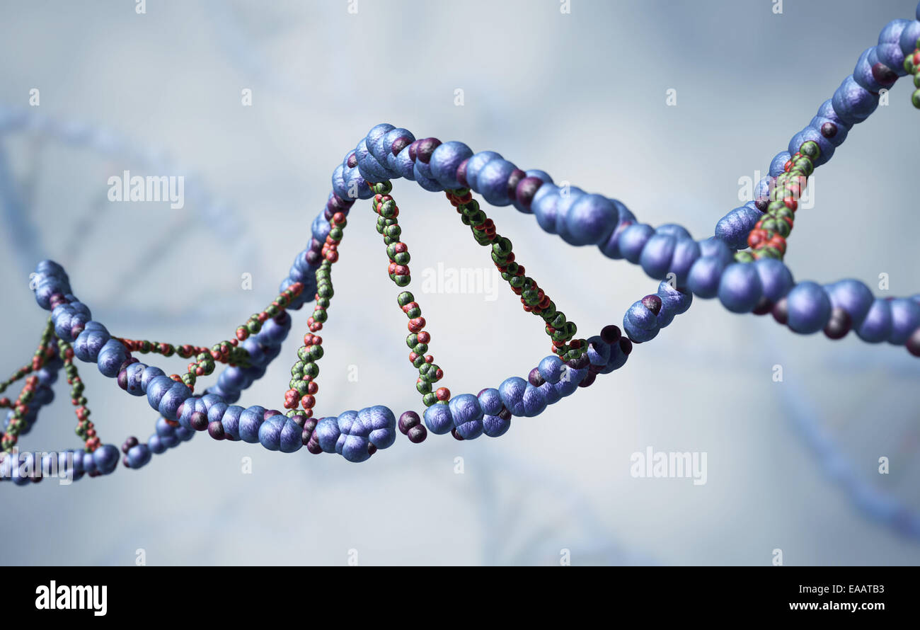 Filamento de la DNA Foto de stock