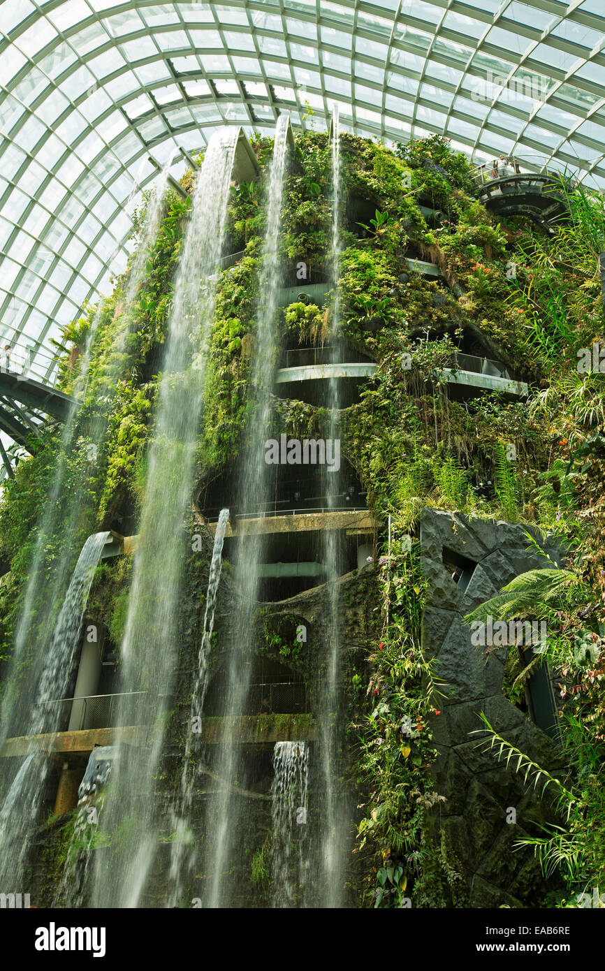 Espectacular cascada alta vertiendo pasado esmeralda de la vegetación del bosque nuboso recreada en un inmenso invernadero de cristal en Singapur jardines junto a la bahía Foto de stock