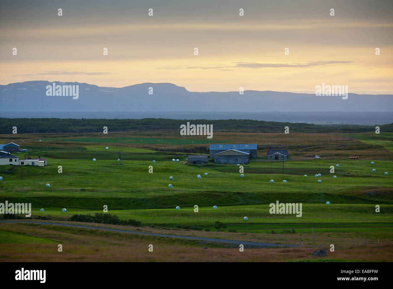 Blanco rollos de heno en el campo verde de Islandia. Tiempo de extinción. Disparo horizontal Foto de stock